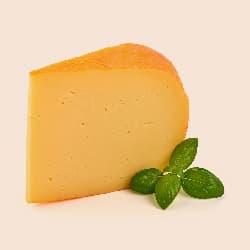 Gouda